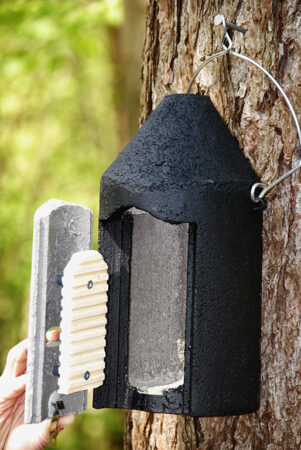 Runde schwarz Fledermaushöhle hängt mit offener Vorderwand und einem Holzeinsatz an einem Baumstamm