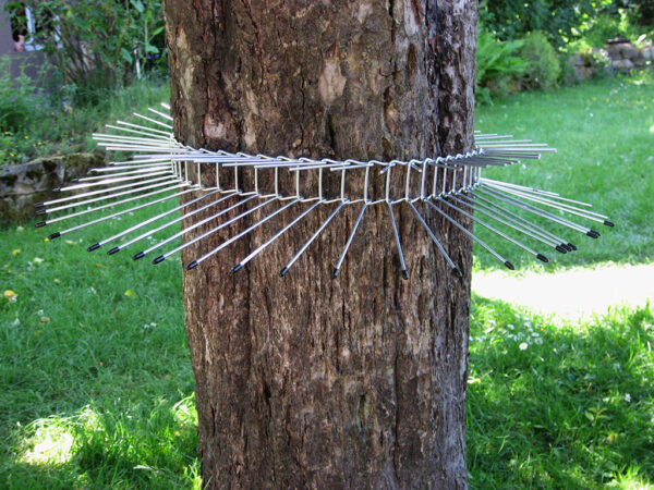 Gürtel aus Metallstangen und Kunsstoffabschlüssen um einen Baum herum zur Abwehr von Katzen und Mardern