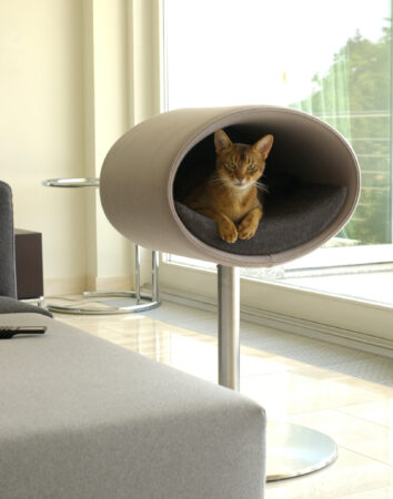 Katze liegt in einem Design Katzenkorb auf einem Edelstahlfuss
