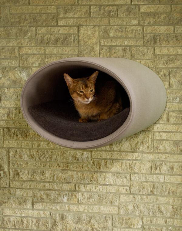 Katze in Design Katzenhöhle aus hellgrauem Filz an einer Steinwand montiert
