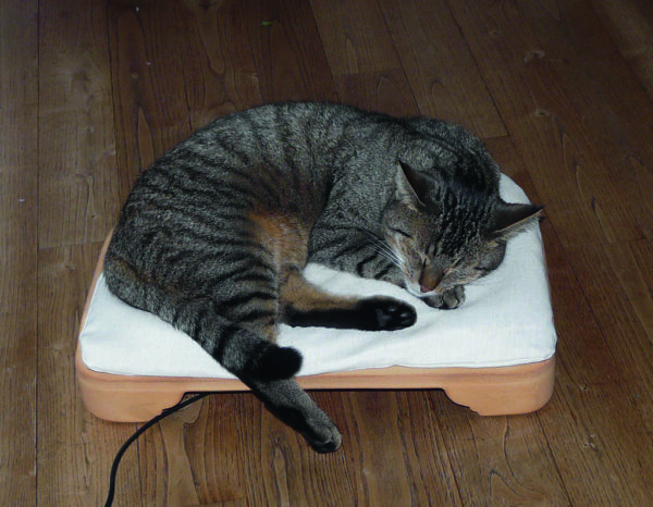 Katze liegt auf einem Kachelofen für Katzen