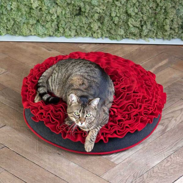 Katze liegt auf einem designten Bett das wie Rosenbllätter aussieht