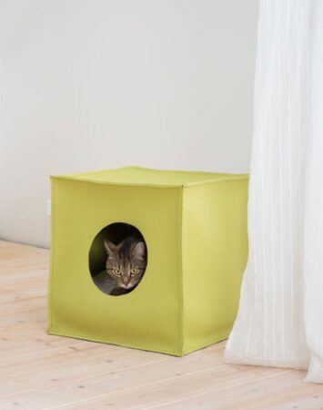 Katze schaut aus quadratischer Design Katzenhöhle aus Filz