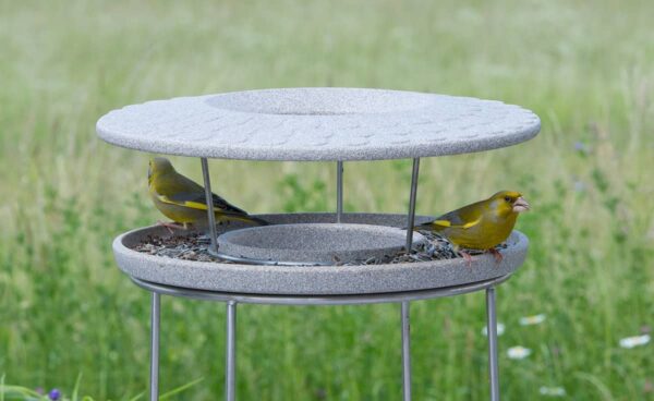 Zwei Grünfinken sitzen auf einem Vogel Futterhaus mit Dach und Ständer