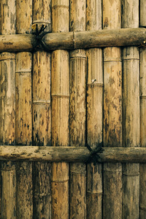 bamboo wall background 1080x