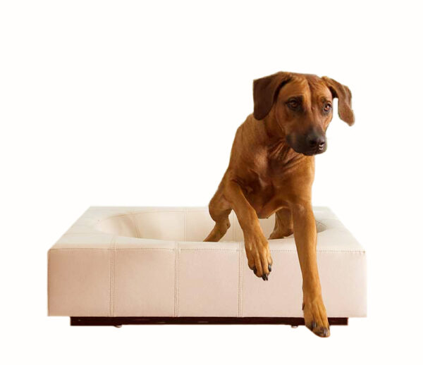 556004 bild98 dog bed faux leather memory foam exclusive design quality 1