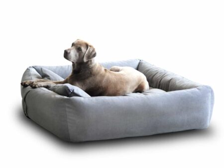 Boox velours dog bed