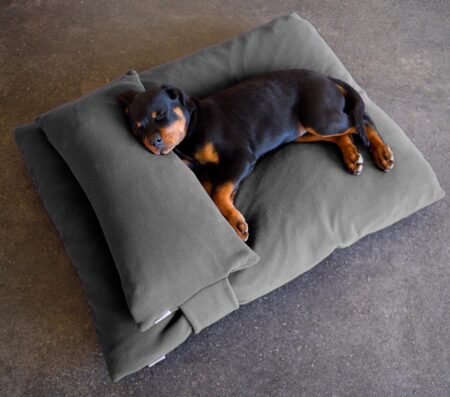 dog cushion head pillow